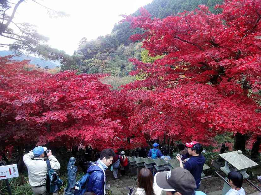 monte oyama momiji tonos rojizos 3