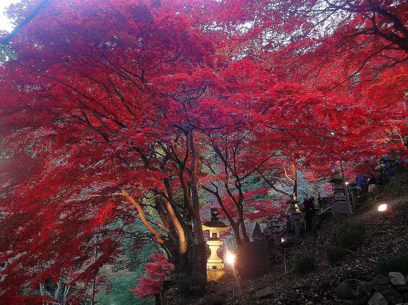 monte oyama momiji tonos rojizos 3