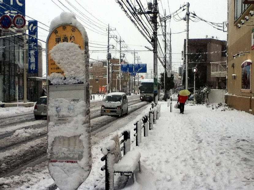 nevada japon kanagawa 14 enero 2013 parada autobus