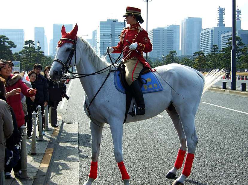 palacio imperial tokio caballo