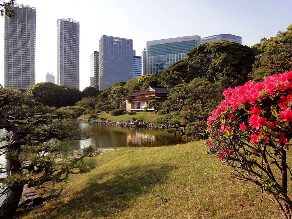 jardines Hamarikyu shinbashi tokyo