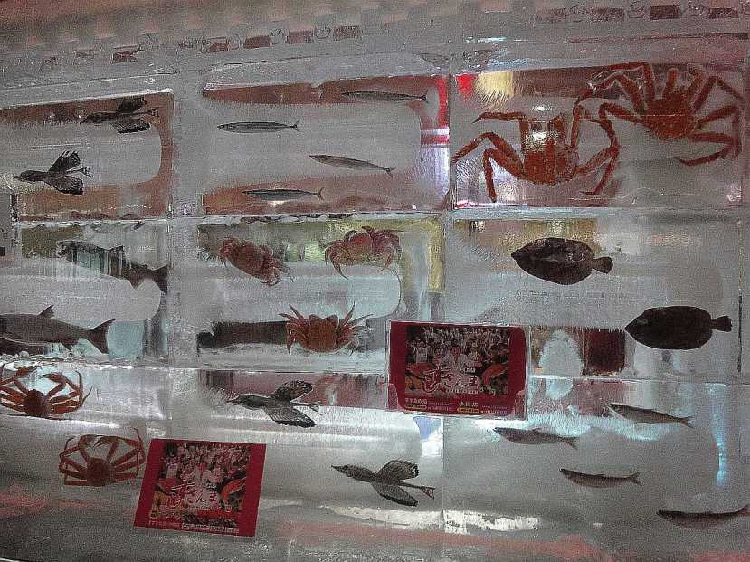 yuki matsuri susukino estructuras hielo