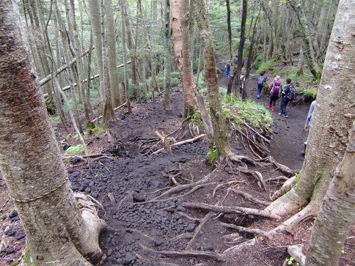 Subir al Monte Fuji. Bajada por Subashiri Trail (須走). Ruta sunaharai (砂払い).