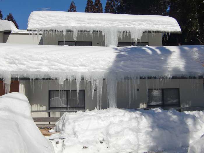 Camino desde Kanbayashi Onsen hacia la entrada del Snow Moneky Park. 1,8 kilometros