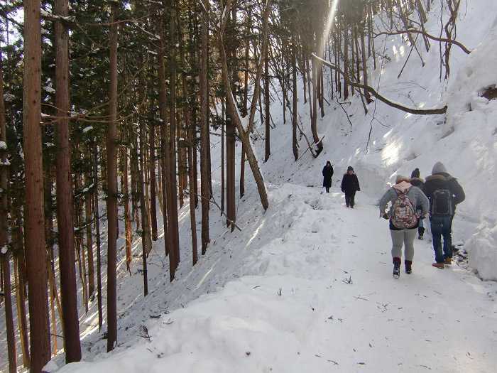 jigokudani_moneky_park_y_visita_a_nagano_007_camino_final_a_snow_monkey_park_011