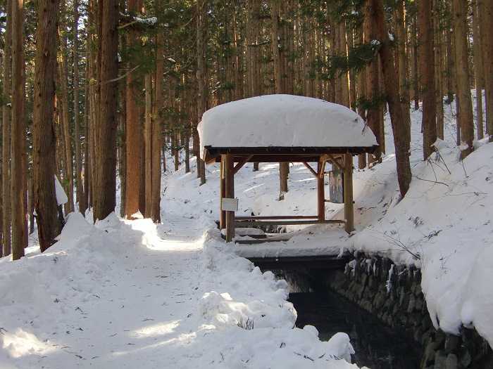 Camino desde Kanbayashi Onsen hacia la entrada del Snow Moneky Park. 1,6 kilometros