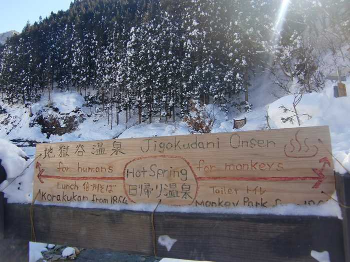 jigokudani_moneky_park_y_visita_a_nagano_007_camino_final_a_snow_monkey_park_04