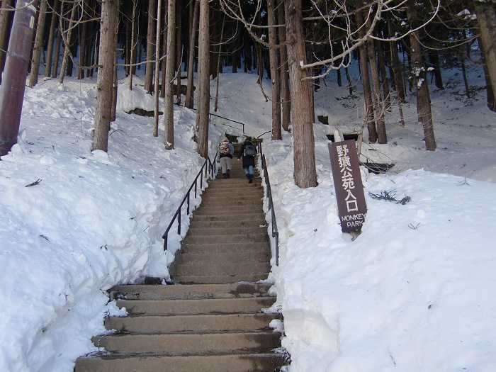 jigokudani_moneky_park_y_visita_a_nagano_007_camino_final_a_snow_monkey_park_05