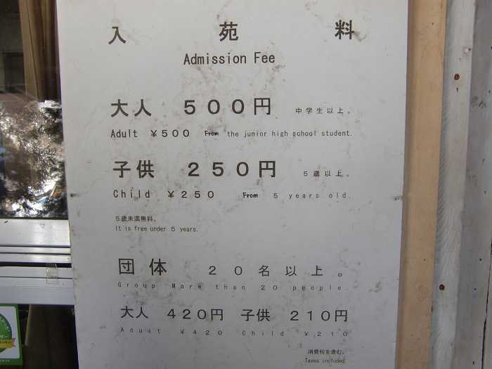 jigokudani_moneky_park_y_visita_a_nagano_008-dentro-de-snow-mokey-park-01