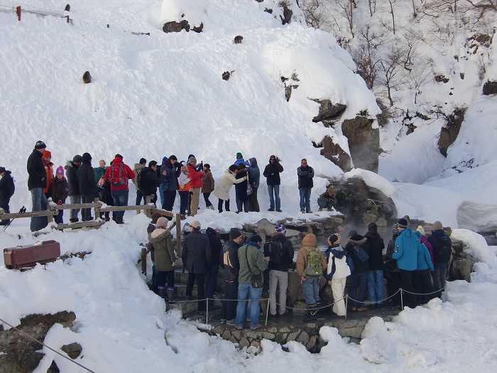 Snow Monkey Park. Paparazzis everywhere