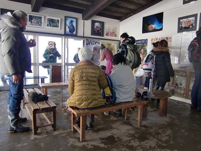 jigokudani_moneky_park_y_visita_a_nagano_010-refugio-para-calentarse-02