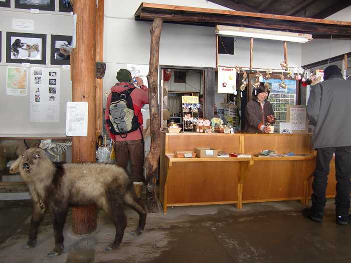 Snow Monkey Park. Tomando un cafe en el refugio