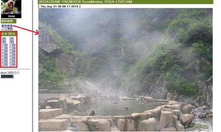 LiveWebCam SnowMonkeyPark