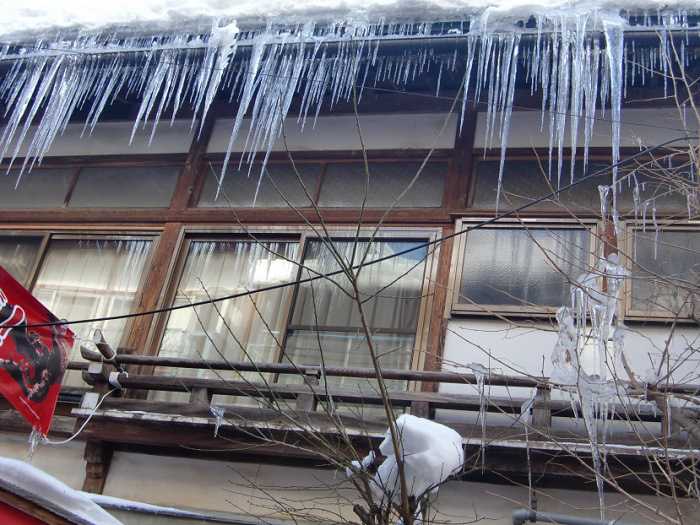 snow-monkeys-monos-nagano-yudanaka-shibu-onsen-007-pueblo-shibun-onsen-012