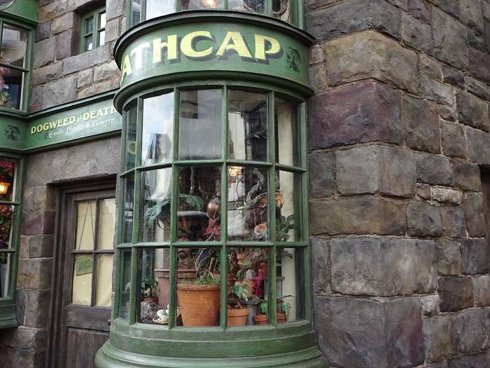 Wizarding World Harry Potter 