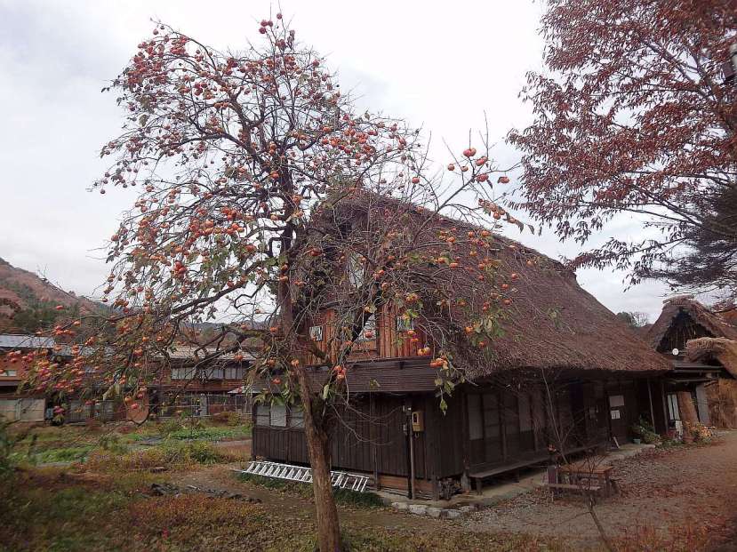 shirakawa minka casas arquitectura gasshou zukuri 11