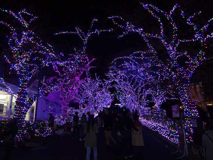 Yomiuriland iluminacion