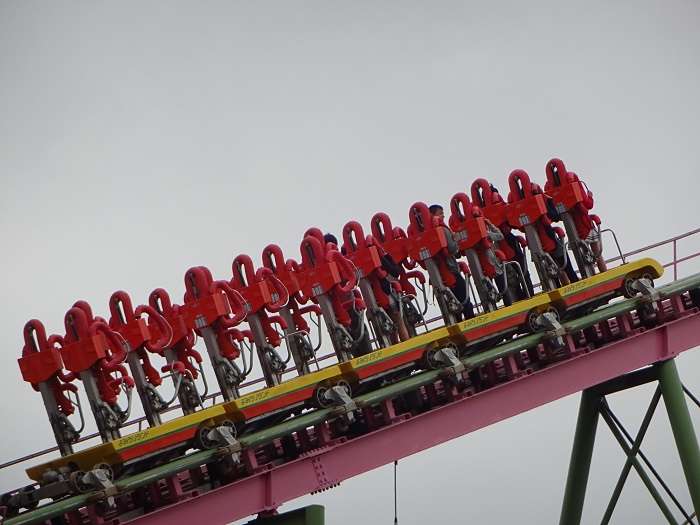 Yomiuriland　Momonga 