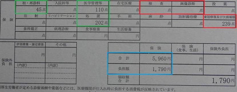 Visita 2 al dentista japon