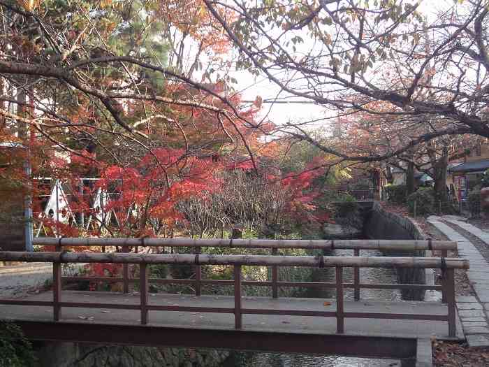 Camino de la filosofia Kyoto