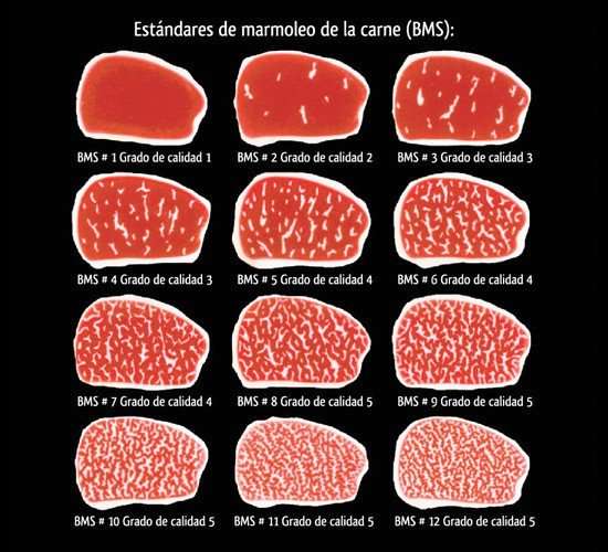 marmoleo carne estandar bms