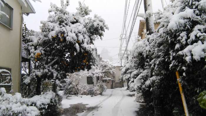 Nevada Enero 2018 Japon Noborito