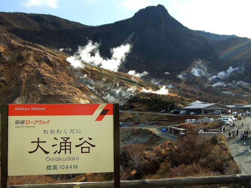 vaye owakudani cartel